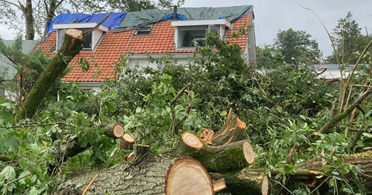 Klimaatrisico’s: de gevolgen voor de adviseur