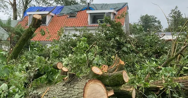 Klimaatrisico’s: de gevolgen voor de adviseur